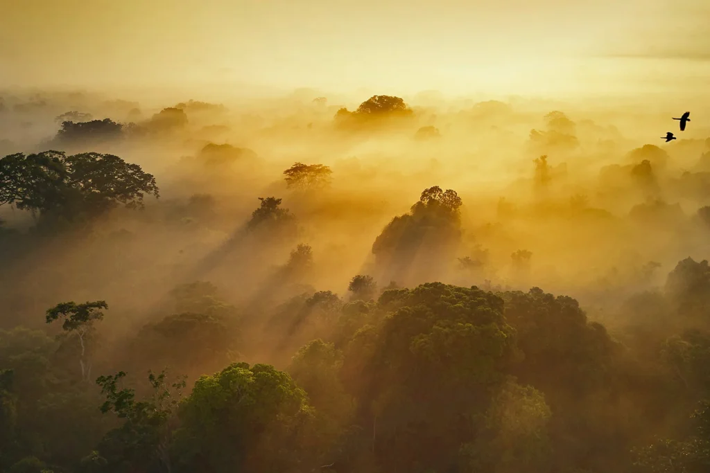 I Feel Guilty When I Say No - featured image